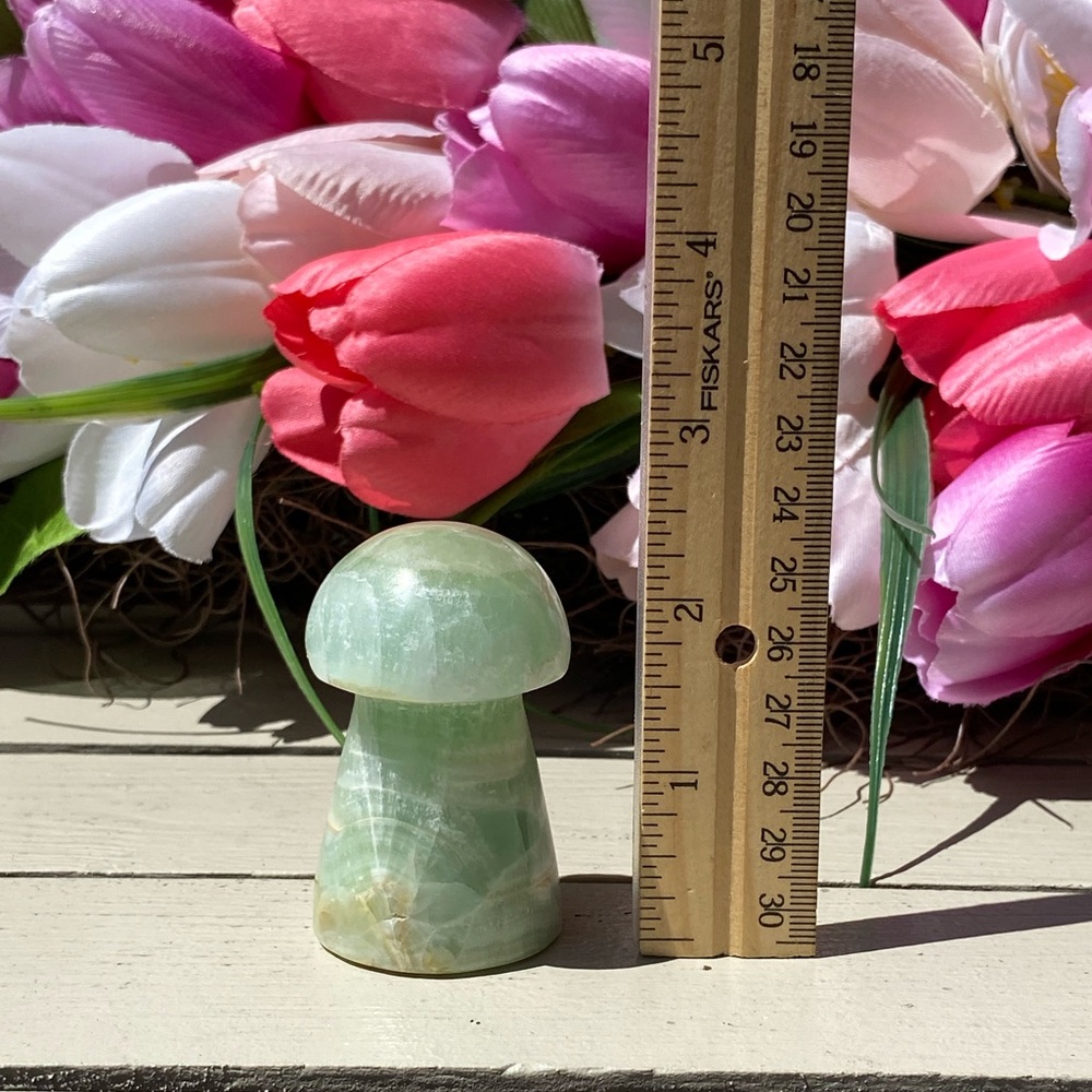 Kiwi Calcite Mushroom - Picture 14 of 14